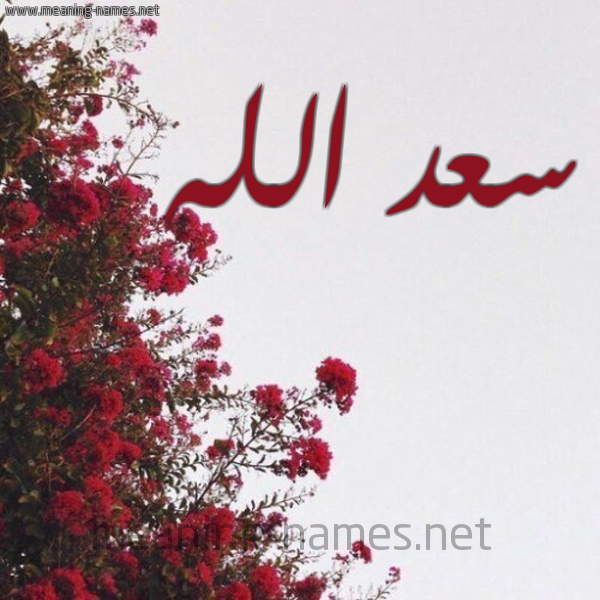 شكل 18 صوره الورد الأحمر للإسم بخط رقعة صورة اسم سعد الله SAD-ALLH